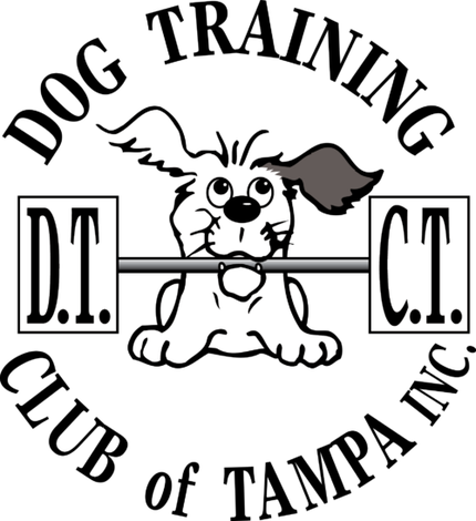 dtctlogo