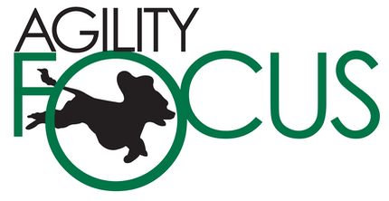 Agility Focus logo